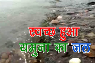 clean yamuna radaur