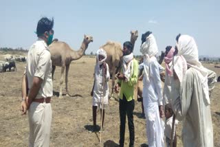 Banjaras of Rajasthan trapped in sagar, राजस्थान न्यूज