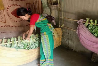 kokrajhar silk producing village