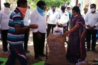 grain purchasing centers are opened by mla haripriya in illandu bhadradri kothagudem