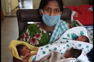 A mother gave birth to three children at Vani Vilas Hospital