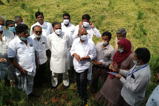 heavy rain in gangavati mp and mla visited former lands