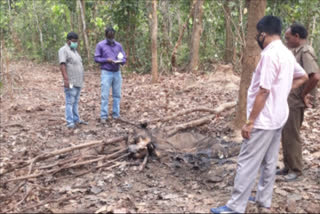 od_khurda_baby elephant