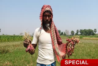 Crops yield reduced due to lack of irrigation in Pakur