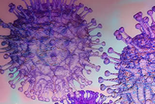 Indian researchers start working on novel coronavirus genome sequencing