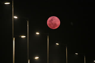 pink moon seens in vijayawada