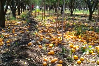 coronavirus lockdown is affecting the fruits and vegetable markets in maharashtra