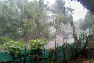 Premature rain in Nellore district