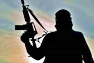 terrorist-arrested-from-baramulla-of-jk