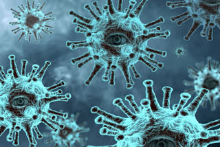 Coronavirus infects Saudi royals: Report