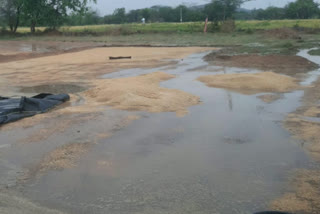 rain in vanaparthy dist