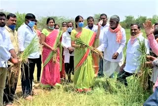 minister-sabitha-indra-reddy-visit-rain-effected-crops-at-ranagareddy