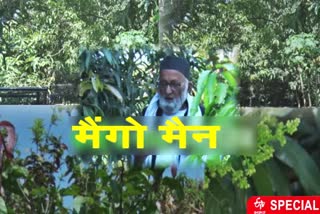 etv-bharat-special-talk-with-mango-man-haji-kalimullah-khan-in-lucknow