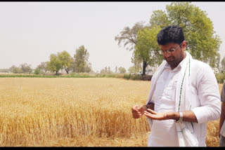 dushyant chautala promise to haryana farmers