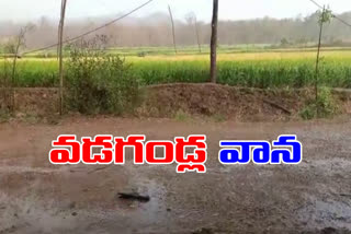 heavy-rainfall-in-mirudoddi-of-siddipet-district