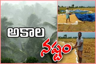 heavy-rains-in-ap