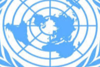 COVID-19: UNSC to meet on pandemic impact