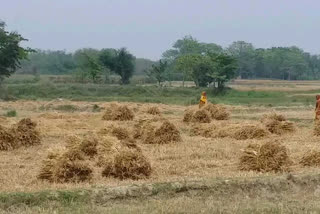 madhepura