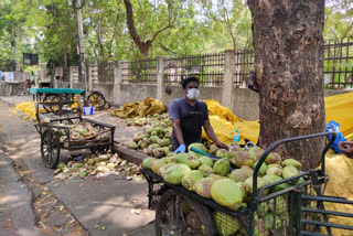 கோடையில் வாடும் இளநீர் வியாபாரிகள்