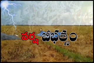 14 members diied with sudden rains in andhrapraesh news