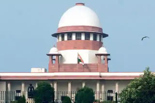 Supreme court