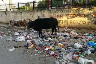 syed nangloi residents are troubled by dirt in their surrounding in delhi