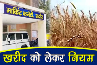 Haryana government orders regarding the crops coming in the mandis during corona virus