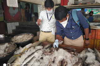 Old fish  Idukki  ഇടുക്കി  മത്സ്യം പിടികൂടി  പഴകിയ മത്സ്യം പിടികൂടി  ഭക്ഷ്യ വകുപ്പ്