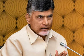 chandrababu on crop damage in state