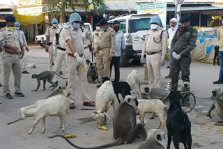 गोपालगंज SP मनोज कुमार