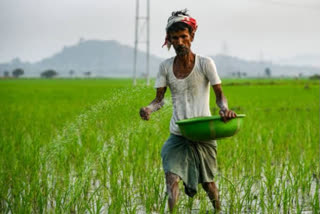 Gujarat  farmers  PM Cares Fund  coronavirus  கோவிட்-19 பாதிப்பு: குஜராத் விவசாயிகள் ரூ.2 ஆயிரம் நிதியுதவி  குஜராத் விவசாயிகள்  கோவிட்-19 பாதிப்பு