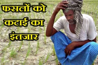 jhalawar news, farmer bad condition news, किसानों की बुरी स्थिति, कोरोना का किसानों पर असर