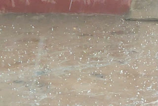 farmers facing problem due to unseasonal rain and hail