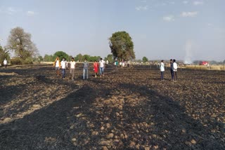 Fire in wheat crop in Damoh