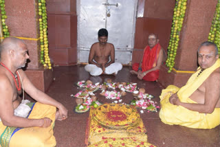 special worshiped of srisaila brahmaramba devi