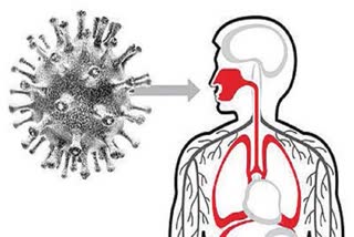 coronavirus update india: Can India win the fight against