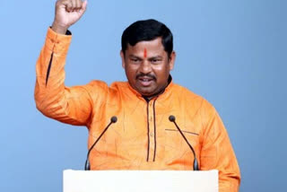 BJP MLA T Raja Singh in virus remark row