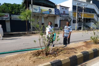 A man watered plants that were neglected due to lockdown