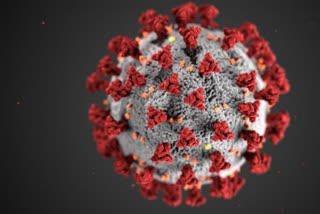 Coronavirus lock down in USA