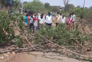 Coronation panic:  whole village Self Quarantined by Villagers to avoid coronavirus