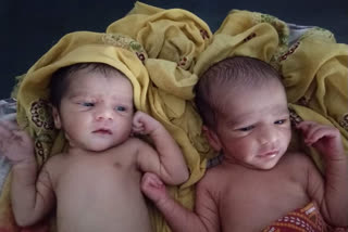 family named their newborn twins corona and covid in gaya