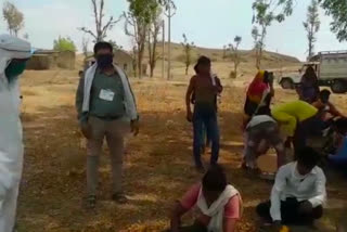 Health check up of laborers