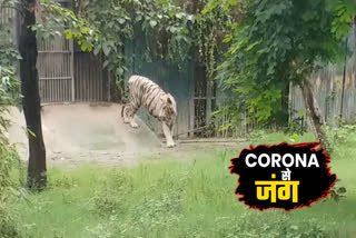 Arrangements are being made at zoo due to weather change with vigilance of Corona