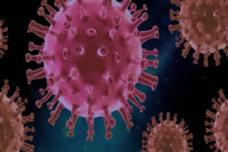 Coronavirus infection detected