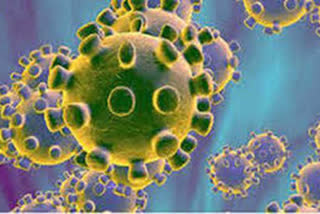 کورونا وائرس: مہاراشٹر اور دہلی میں سب سے زیادہ کیسز
