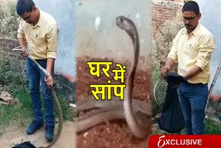 Snake found in chutia area of ​​ranchi