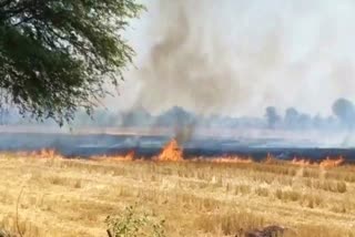 खेतों में लगी आग, Fire in fields