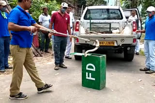 venomous snake recoverd at newtown