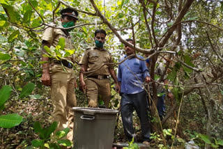 vatakara  Vash and vat  വടകര  വാറ്റ് ഉപകരണം  പ്ലാസ്റ്റിക്ക്  വാഷ്  കശുമാവ്  ലോക്‌ഡൗൺ