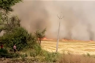 Farmers not warned of the death of eight people last year, continuous burning